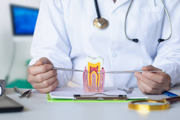 Best Pediatric Emergency Dentist in Springtown, TX